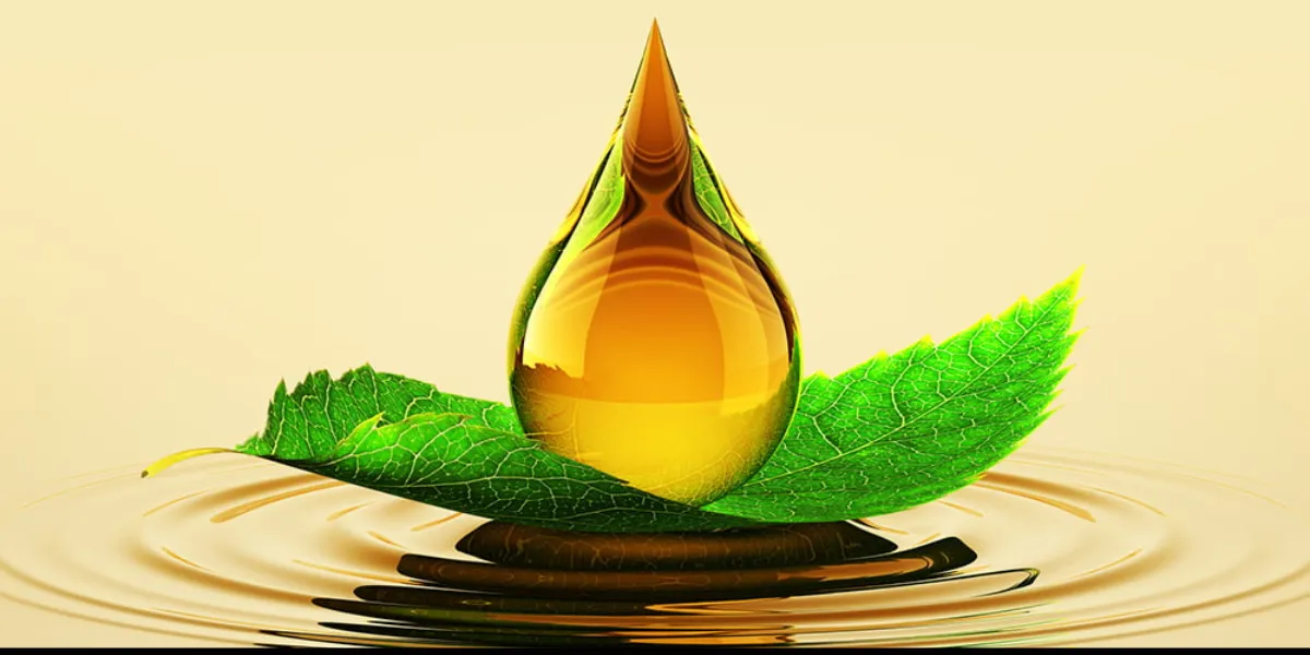 UNDERSTANDING ENVIRONMENTALLY-FRIENDLY LUBRICANTS
